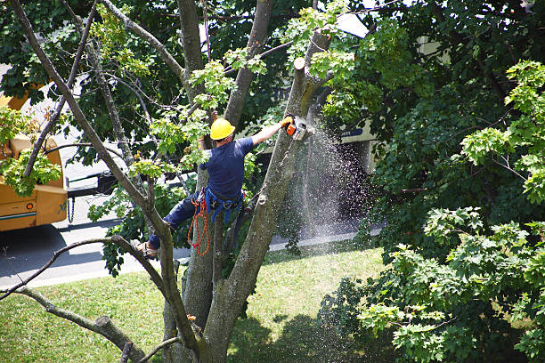 Landscape Design and Installation in West Brownsville, PA